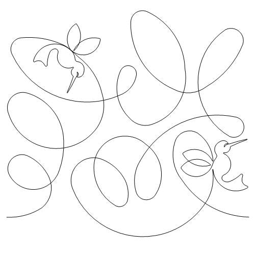 Swift Hummingbirds (AB)