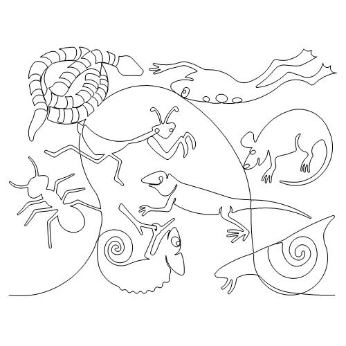 Bugs and Reptiles (AB)