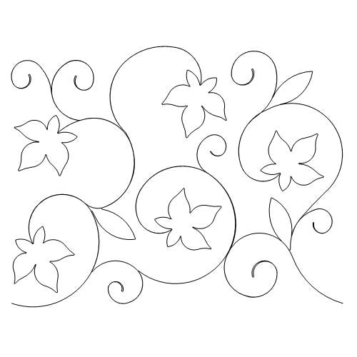Elegant Ivy     (AB)
