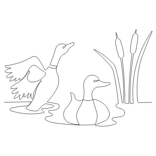 Ducks in a Pond    (AB)