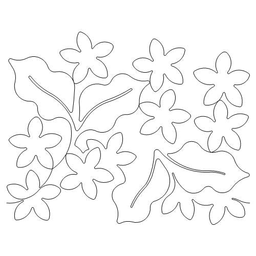 Forget Me Nots     (AB)