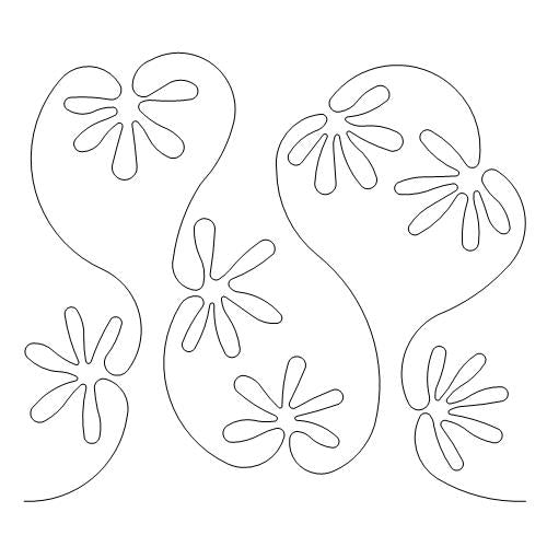 Funky Daisy     (AB)