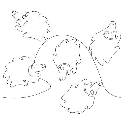 Hedgehog    (AB)