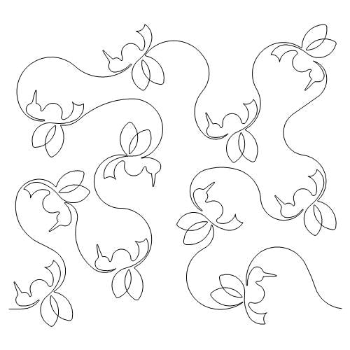 Just Hummingbirds     (AB)