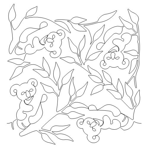 Koala    (AB)