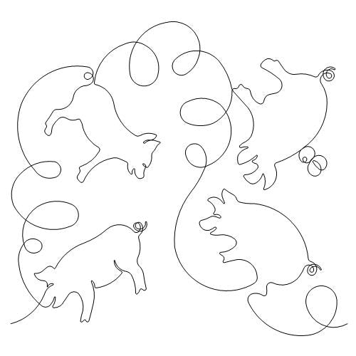 Little Pig 1    (AB)