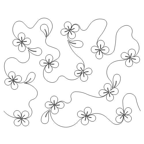 Syringa Paradise     (AB)